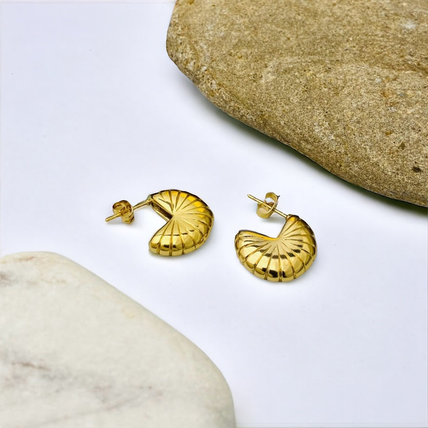 Shell Earrings